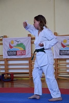 Grafika #173: Międzyklubowe Mistrzostwa Polskiej Federacji Okinawa Goju-Ryu Karate Do