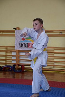 Grafika #175: Międzyklubowe Mistrzostwa Polskiej Federacji Okinawa Goju-Ryu Karate Do