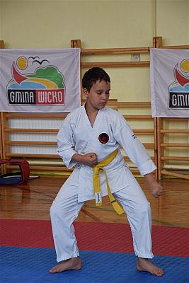 Grafika #168: Międzyklubowe Mistrzostwa Polskiej Federacji Okinawa Goju-Ryu Karate Do