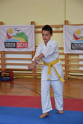 Grafika #167: Międzyklubowe Mistrzostwa Polskiej Federacji Okinawa Goju-Ryu Karate Do