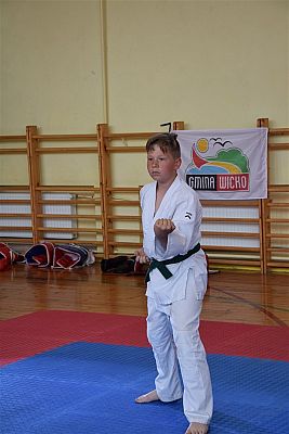 Grafika #166: Międzyklubowe Mistrzostwa Polskiej Federacji Okinawa Goju-Ryu Karate Do
