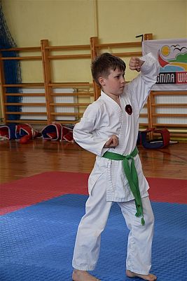 Grafika #162: Międzyklubowe Mistrzostwa Polskiej Federacji Okinawa Goju-Ryu Karate Do
