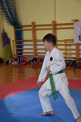 Grafika #163: Międzyklubowe Mistrzostwa Polskiej Federacji Okinawa Goju-Ryu Karate Do