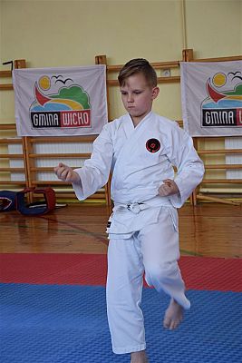 Grafika #165: Międzyklubowe Mistrzostwa Polskiej Federacji Okinawa Goju-Ryu Karate Do