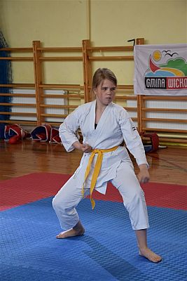 Grafika #159: Międzyklubowe Mistrzostwa Polskiej Federacji Okinawa Goju-Ryu Karate Do