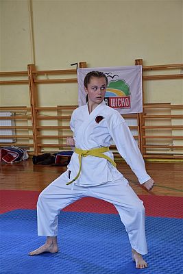 Grafika #152: Międzyklubowe Mistrzostwa Polskiej Federacji Okinawa Goju-Ryu Karate Do