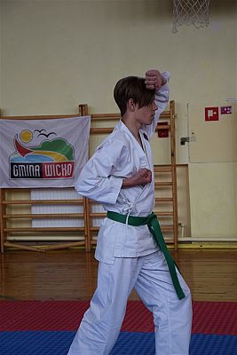 Grafika #141: Międzyklubowe Mistrzostwa Polskiej Federacji Okinawa Goju-Ryu Karate Do