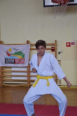 Grafika #144: Międzyklubowe Mistrzostwa Polskiej Federacji Okinawa Goju-Ryu Karate Do