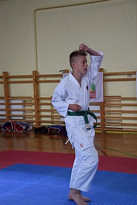 Grafika #140: Międzyklubowe Mistrzostwa Polskiej Federacji Okinawa Goju-Ryu Karate Do