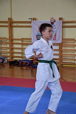 Grafika #131: Międzyklubowe Mistrzostwa Polskiej Federacji Okinawa Goju-Ryu Karate Do