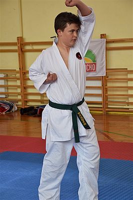 Grafika #130: Międzyklubowe Mistrzostwa Polskiej Federacji Okinawa Goju-Ryu Karate Do