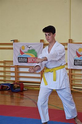 Grafika #119: Międzyklubowe Mistrzostwa Polskiej Federacji Okinawa Goju-Ryu Karate Do