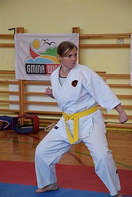 Grafika #118: Międzyklubowe Mistrzostwa Polskiej Federacji Okinawa Goju-Ryu Karate Do