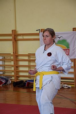 Grafika #117: Międzyklubowe Mistrzostwa Polskiej Federacji Okinawa Goju-Ryu Karate Do