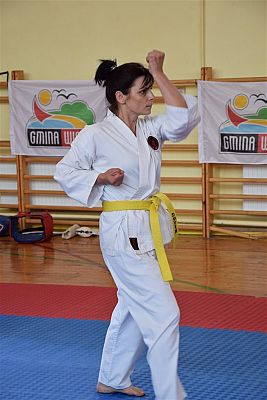 Grafika #116: Międzyklubowe Mistrzostwa Polskiej Federacji Okinawa Goju-Ryu Karate Do