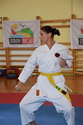 Grafika #113: Międzyklubowe Mistrzostwa Polskiej Federacji Okinawa Goju-Ryu Karate Do