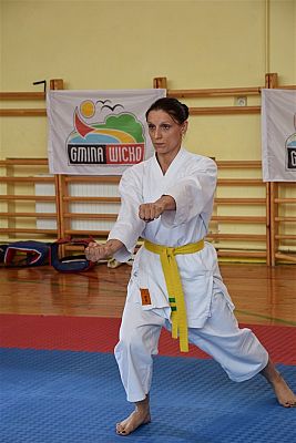 Grafika #115: Międzyklubowe Mistrzostwa Polskiej Federacji Okinawa Goju-Ryu Karate Do