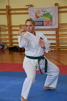 Grafika #99: Międzyklubowe Mistrzostwa Polskiej Federacji Okinawa Goju-Ryu Karate Do