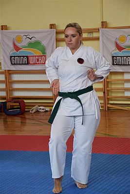 Grafika #98: Międzyklubowe Mistrzostwa Polskiej Federacji Okinawa Goju-Ryu Karate Do
