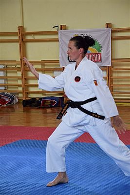 Grafika #87: Międzyklubowe Mistrzostwa Polskiej Federacji Okinawa Goju-Ryu Karate Do