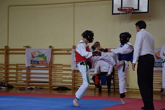Grafika #61: Międzyklubowe Mistrzostwa Polskiej Federacji Okinawa Goju-Ryu Karate Do