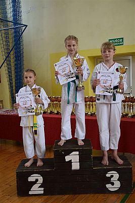 Grafika #53: Międzyklubowe Mistrzostwa Polskiej Federacji Okinawa Goju-Ryu Karate Do