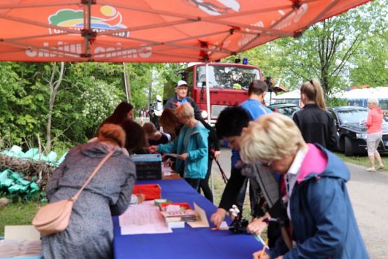 Grafika #307: Rajd Nordic Walking 2019- relacja zdjęciowa