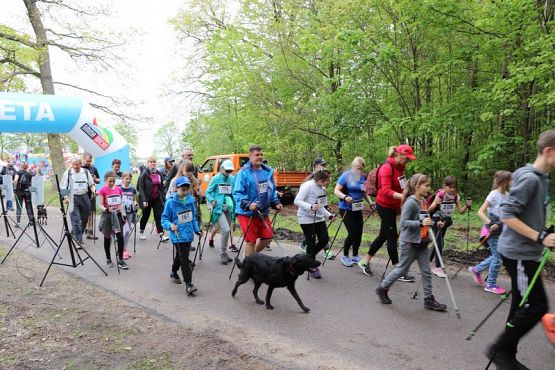 Grafika #187: Rajd Nordic Walking 2019- relacja zdjęciowa
