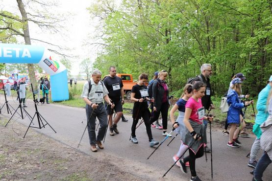 Grafika #185: Rajd Nordic Walking 2019- relacja zdjęciowa