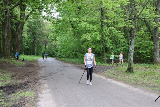 Grafika #153: Rajd Nordic Walking 2019- relacja zdjęciowa