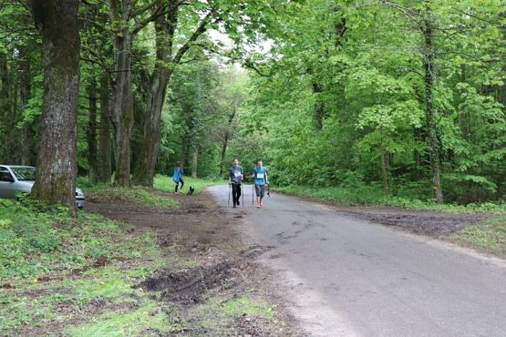 Grafika #151: Rajd Nordic Walking 2019- relacja zdjęciowa