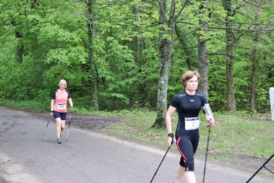 Grafika #145: Rajd Nordic Walking 2019- relacja zdjęciowa