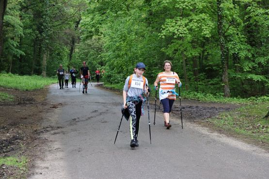 Grafika #115: Rajd Nordic Walking 2019- relacja zdjęciowa