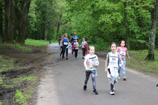 Grafika #84: Rajd Nordic Walking 2019- relacja zdjęciowa