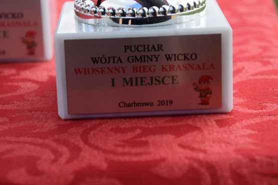 Grafika #7: Wiosenny Bieg Krasnala- wyniki i relacja zdjęciowa