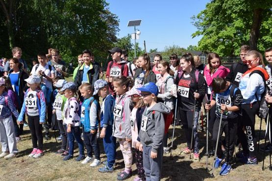 Grafika #337: V Rajd Nordic Walking- relacja zdjęciowa
