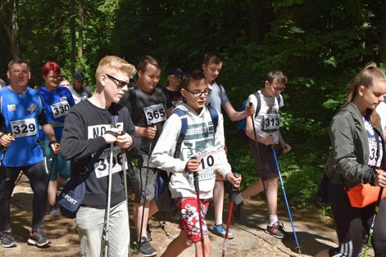 Grafika #306: V Rajd Nordic Walking- relacja zdjęciowa