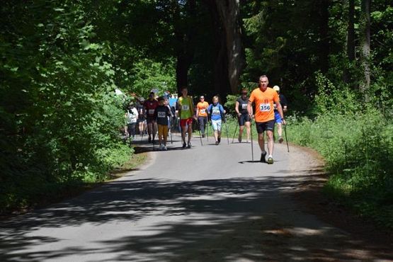 Grafika #290: V Rajd Nordic Walking- relacja zdjęciowa