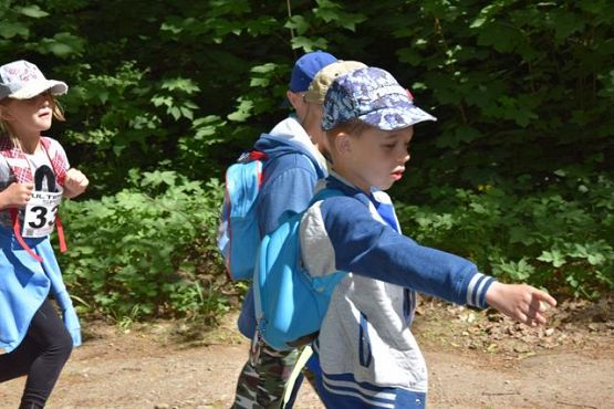 Grafika #276: V Rajd Nordic Walking- relacja zdjęciowa
