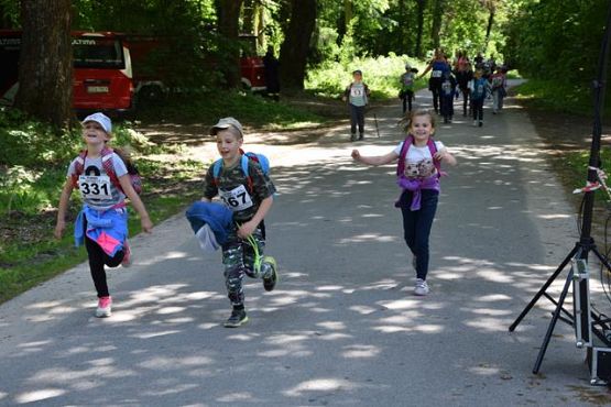Grafika #89: V Rajd Nordic Walking- relacja zdjęciowa