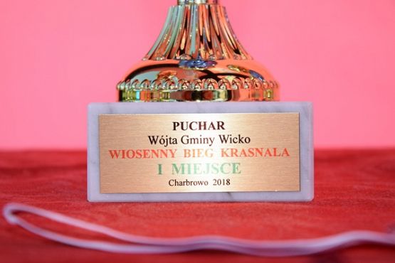 Grafika #35: Wiosenny Bieg Krasnala