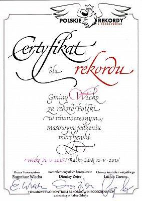Grafika #1: NIEZAPOMINAJKA 2015